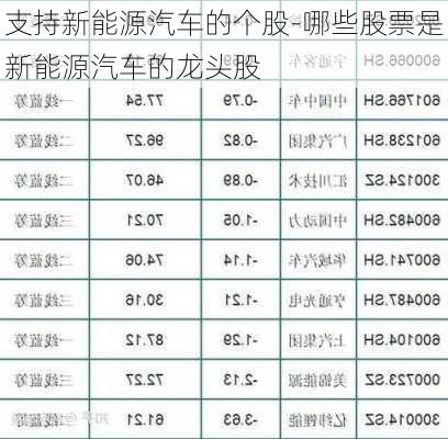 支持新能源汽车的个股-哪些股票是新能源汽车的龙头股