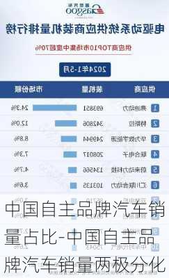 中国自主品牌汽车销量占比-中国自主品牌汽车销量两极分化