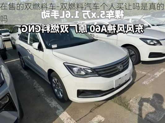 在售的双燃料车-双燃料汽车个人买让吗是真的吗