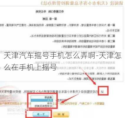 天津汽车摇号手机怎么弄啊-天津怎么在手机上摇号