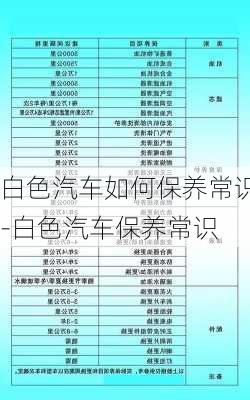 白色汽车如何保养常识-白色汽车保养常识