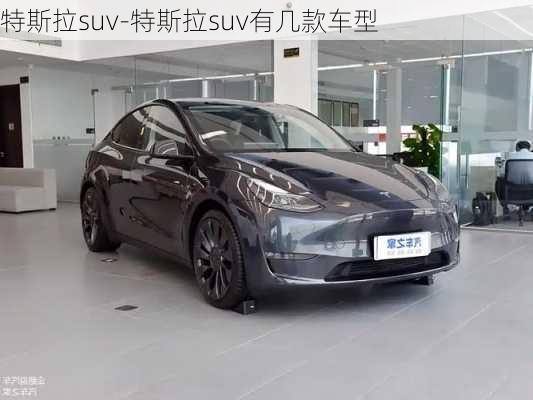 特斯拉suv-特斯拉suv有几款车型