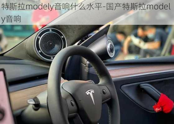 特斯拉modely音响什么水平-国产特斯拉model y音响