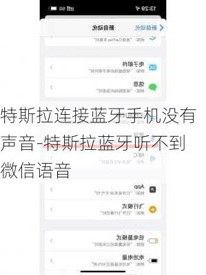 特斯拉连接蓝牙手机没有声音-特斯拉蓝牙听不到微信语音