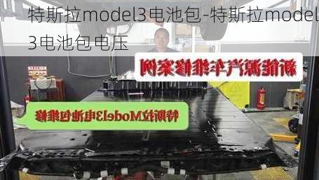 特斯拉model3电池包-特斯拉model3电池包电压