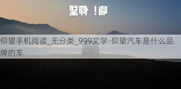 仰望手机阅读_无分类_999文学-仰望汽车是什么品牌的车