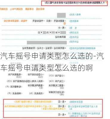 汽车摇号申请类型怎么选的-汽车摇号申请类型怎么选的啊