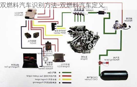 双燃料汽车识别方法-双燃料汽车定义