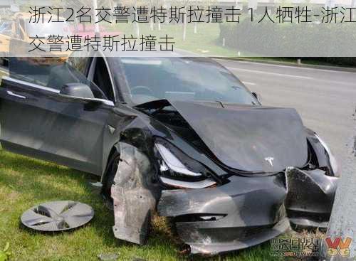 浙江2名交警遭特斯拉撞击 1人牺牲-浙江交警遭特斯拉撞击