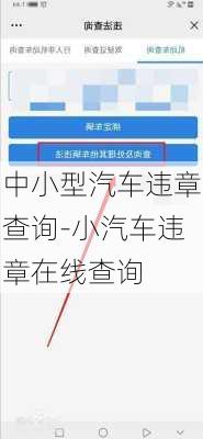 中小型汽车违章查询-小汽车违章在线查询