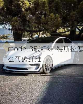 model 3碳纤维-特斯拉怎么买碳纤维