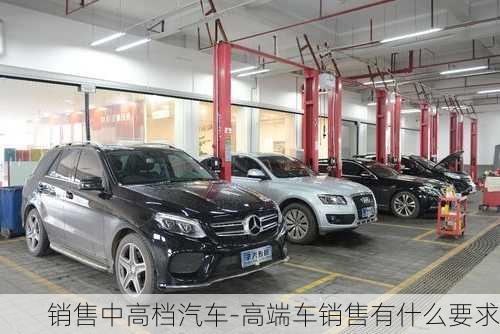 销售中高档汽车-高端车销售有什么要求