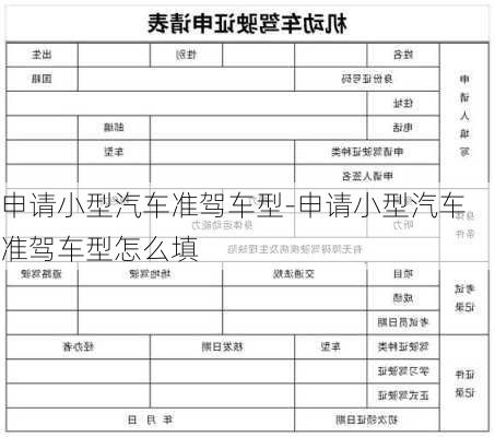 申请小型汽车准驾车型-申请小型汽车准驾车型怎么填