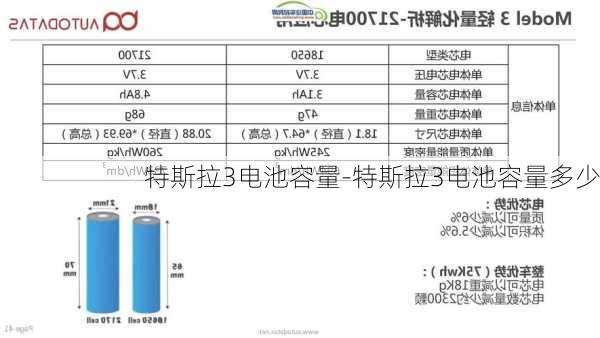 特斯拉3电池容量-特斯拉3电池容量多少