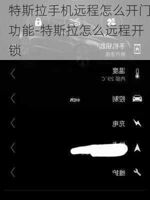 特斯拉手机远程怎么开门功能-特斯拉怎么远程开锁