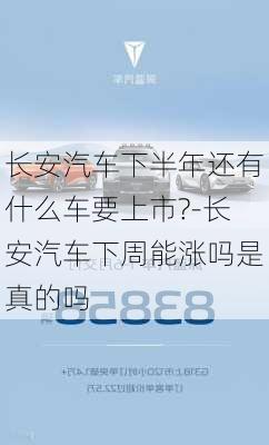 长安汽车下半年还有什么车要上市?-长安汽车下周能涨吗是真的吗