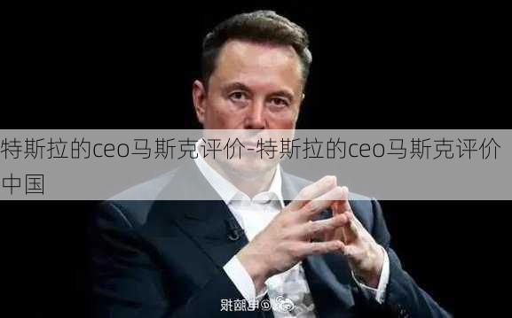 特斯拉的ceo马斯克评价-特斯拉的ceo马斯克评价中国