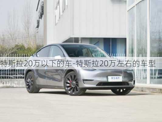 特斯拉20万以下的车-特斯拉20万左右的车型