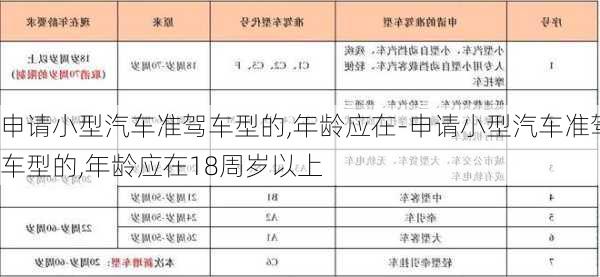 申请小型汽车准驾车型的,年龄应在-申请小型汽车准驾车型的,年龄应在18周岁以上