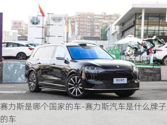 赛力斯是哪个国家的车-赛力斯汽车是什么牌子的车