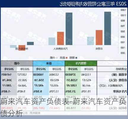 蔚来汽车资产负债表-蔚来汽车资产负债分析