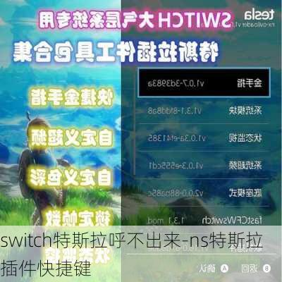 switch特斯拉呼不出来-ns特斯拉插件快捷键