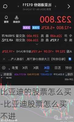 比亚迪的股票怎么买-比亚迪股票怎么买不进