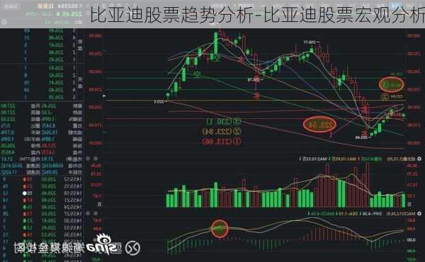 比亚迪股票趋势分析-比亚迪股票宏观分析