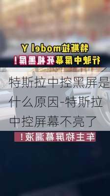 特斯拉中控黑屏是什么原因-特斯拉中控屏幕不亮了