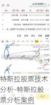 特斯拉股票技术分析-特斯拉股票分析案例