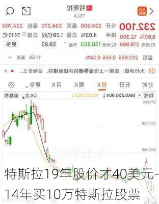 特斯拉19年股价才40美元-14年买10万特斯拉股票