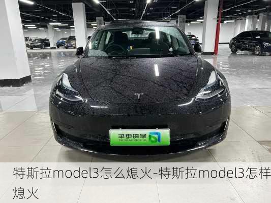 特斯拉model3怎么熄火-特斯拉model3怎样熄火