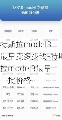 特斯拉model3最早卖多少钱-特斯拉model3最早一批价格