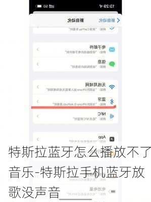 特斯拉蓝牙怎么播放不了音乐-特斯拉手机蓝牙放歌没声音