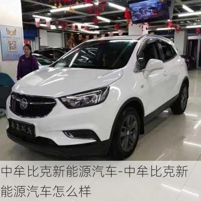 中牟比克新能源汽车-中牟比克新能源汽车怎么样