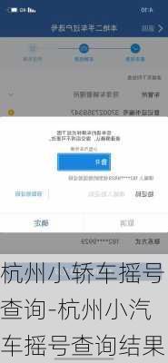 杭州小轿车摇号查询-杭州小汽车摇号查询结果