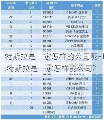 特斯拉是一家怎样的公司呢-1.特斯拉是一家怎样的公司?