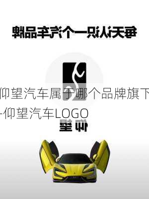 仰望汽车属于哪个品牌旗下-仰望汽车LOGO