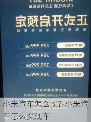 小米汽车怎么买?-小米汽车怎么买现车