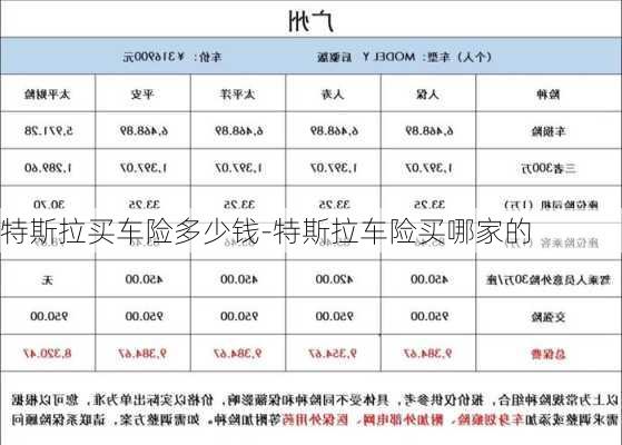 特斯拉买车险多少钱-特斯拉车险买哪家的