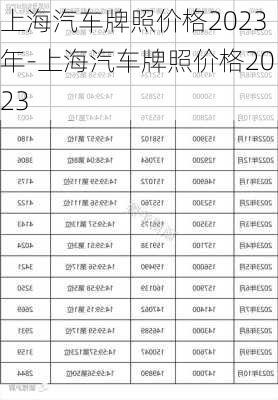 上海汽车牌照价格2023年-上海汽车牌照价格2023