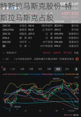 特斯拉马斯克股份-特斯拉马斯克占股