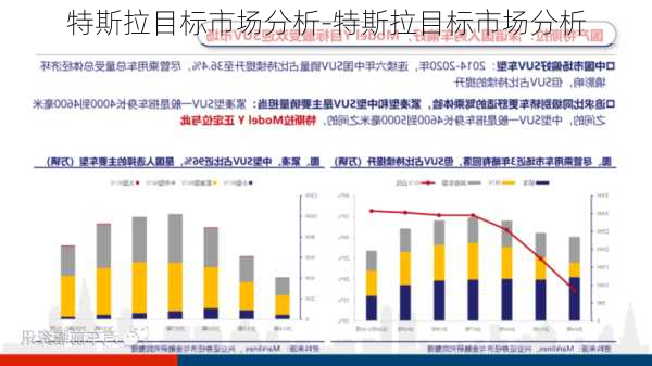 特斯拉目标市场分析-特斯拉目标市场分析