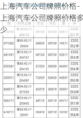 上海汽车公司牌照价格-上海汽车公司牌照价格多少