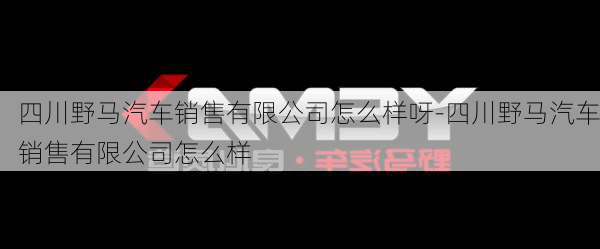 四川野马汽车销售有限公司怎么样呀-四川野马汽车销售有限公司怎么样