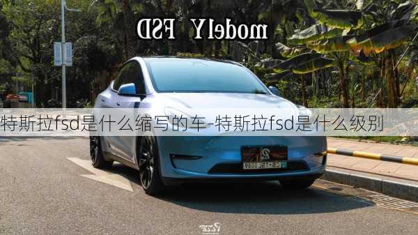 特斯拉fsd是什么缩写的车-特斯拉fsd是什么级别