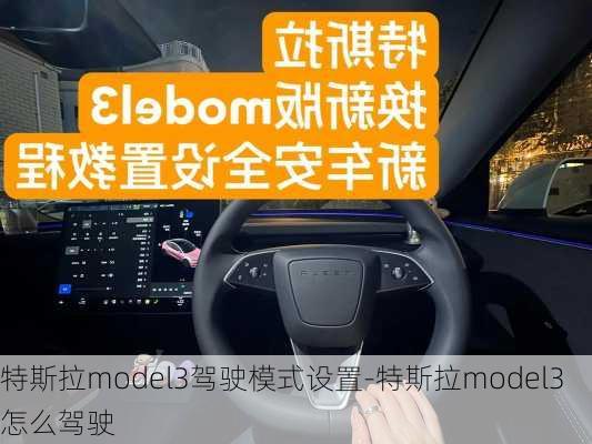 特斯拉model3驾驶模式设置-特斯拉model3怎么驾驶