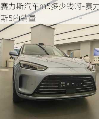 赛力斯汽车m5多少钱啊-赛力斯5的销量