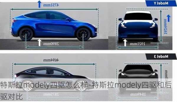 特斯拉modely四驱怎么样-特斯拉modely四驱和后驱对比