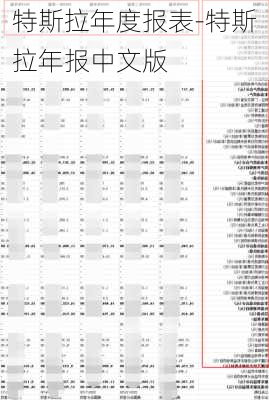 特斯拉年度报表-特斯拉年报中文版